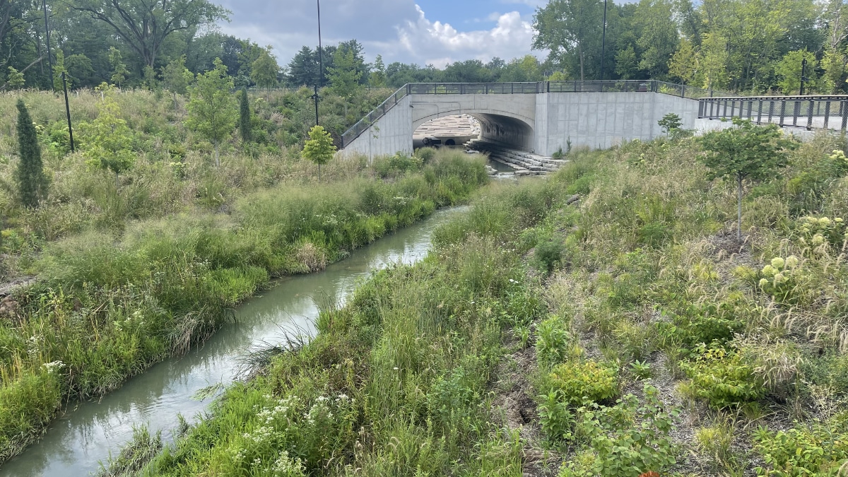 Grassy Branch At Grand Junction Park Stream Restoration Installation Preservation Project