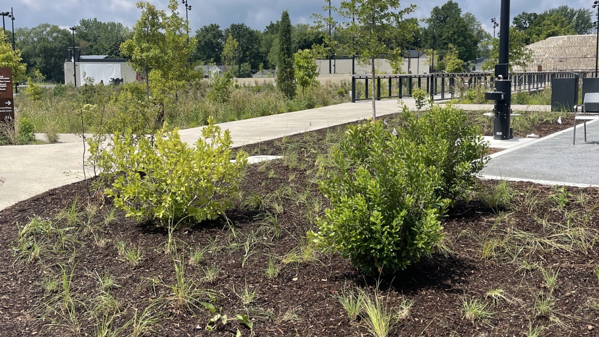 Grassy Branch At Grand Junction Park Stream Restoration Installation Preservation Project