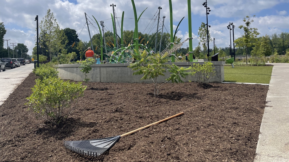 Grassy Branch At Grand Junction Park Stream Restoration Installation Preservation Project