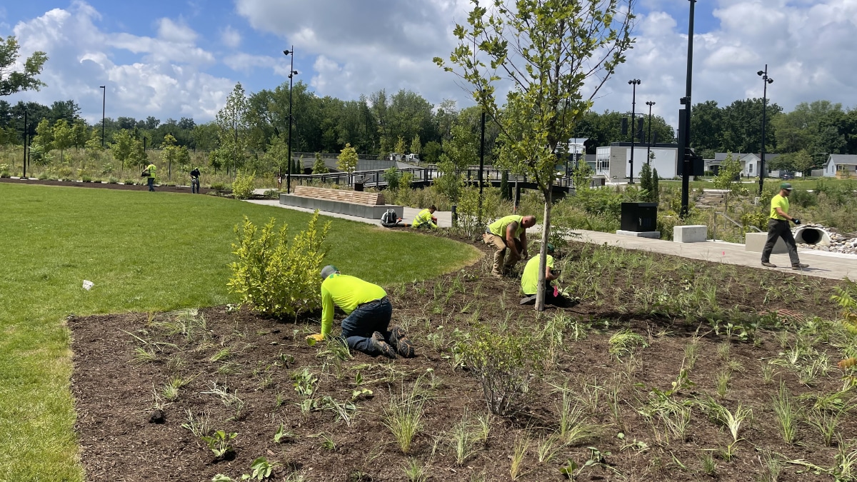 Grassy Branch At Grand Junction Park Stream Restoration Installation Preservation Project